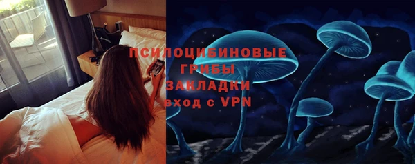 сатива Алексеевка