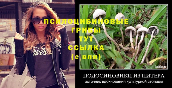 сатива Алексеевка