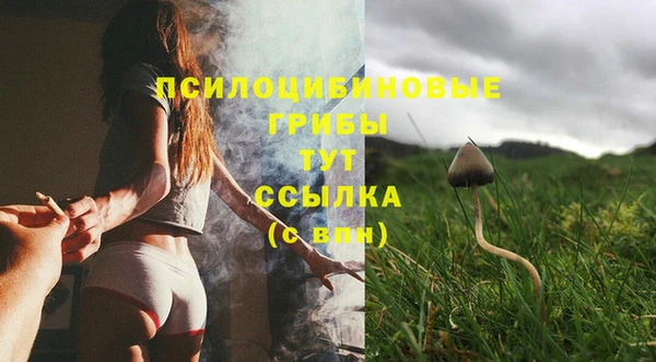прущие грибы Остров