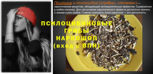 сатива Алексеевка