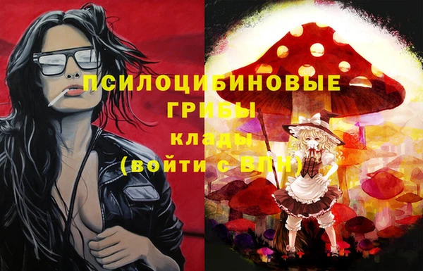 молекула духа Осинники