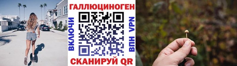 где купить   Удомля  Галлюциногенные грибы GOLDEN TEACHER 