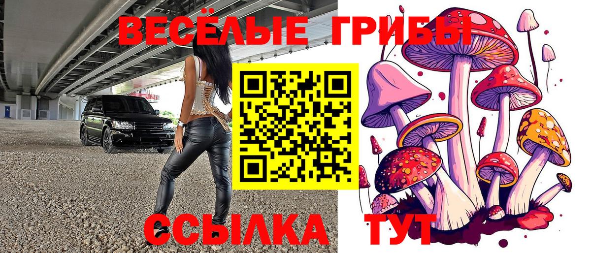 Псилоцибиновые грибы мухоморы Удомля
