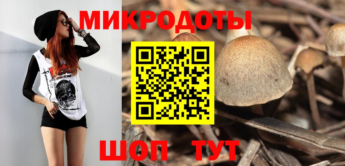 Псилоцибиновые грибы мицелий  Вход с VPN  Удомля 